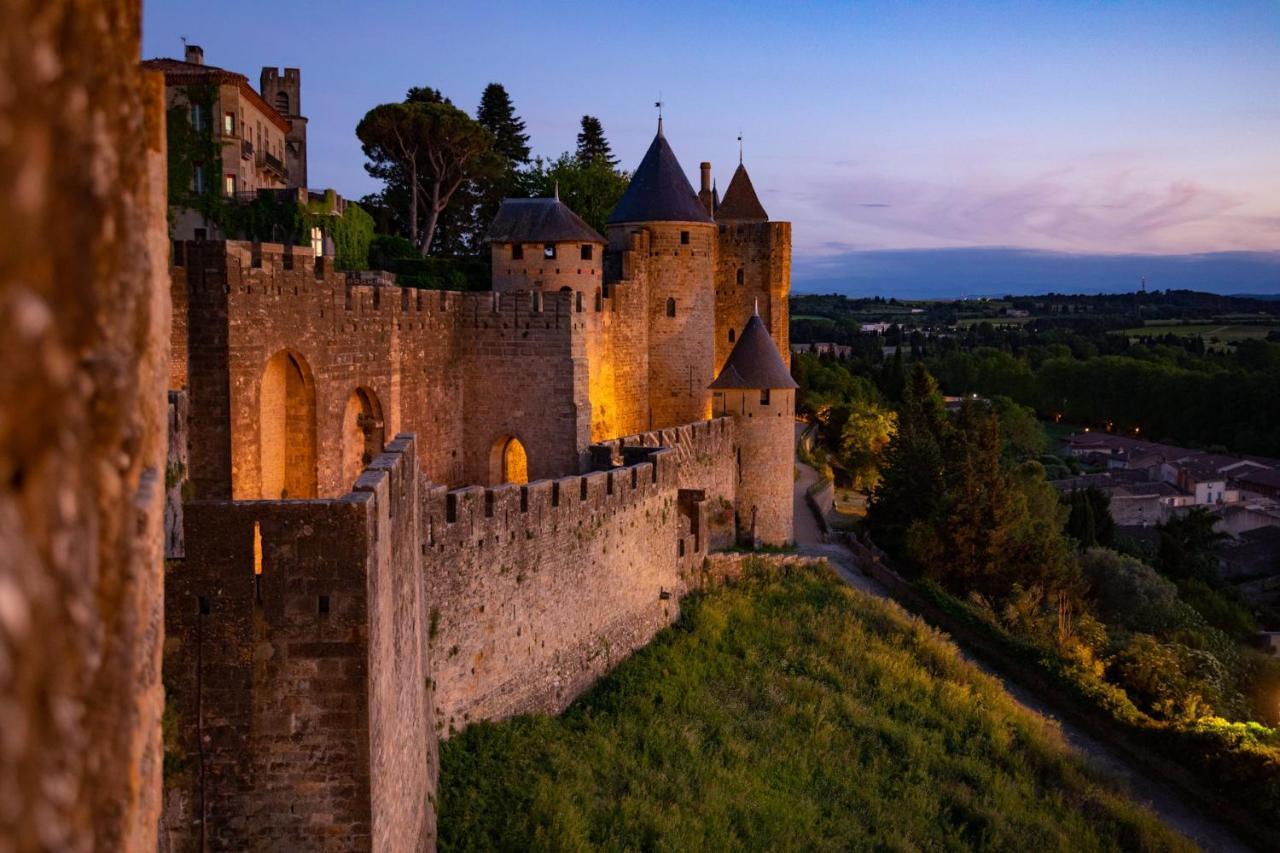 Tout Confort ! Climatisation, Calme, Piscine, Parking Gratuit, Terrasse, Wifi Lejlighed Carcassonne Eksteriør billede