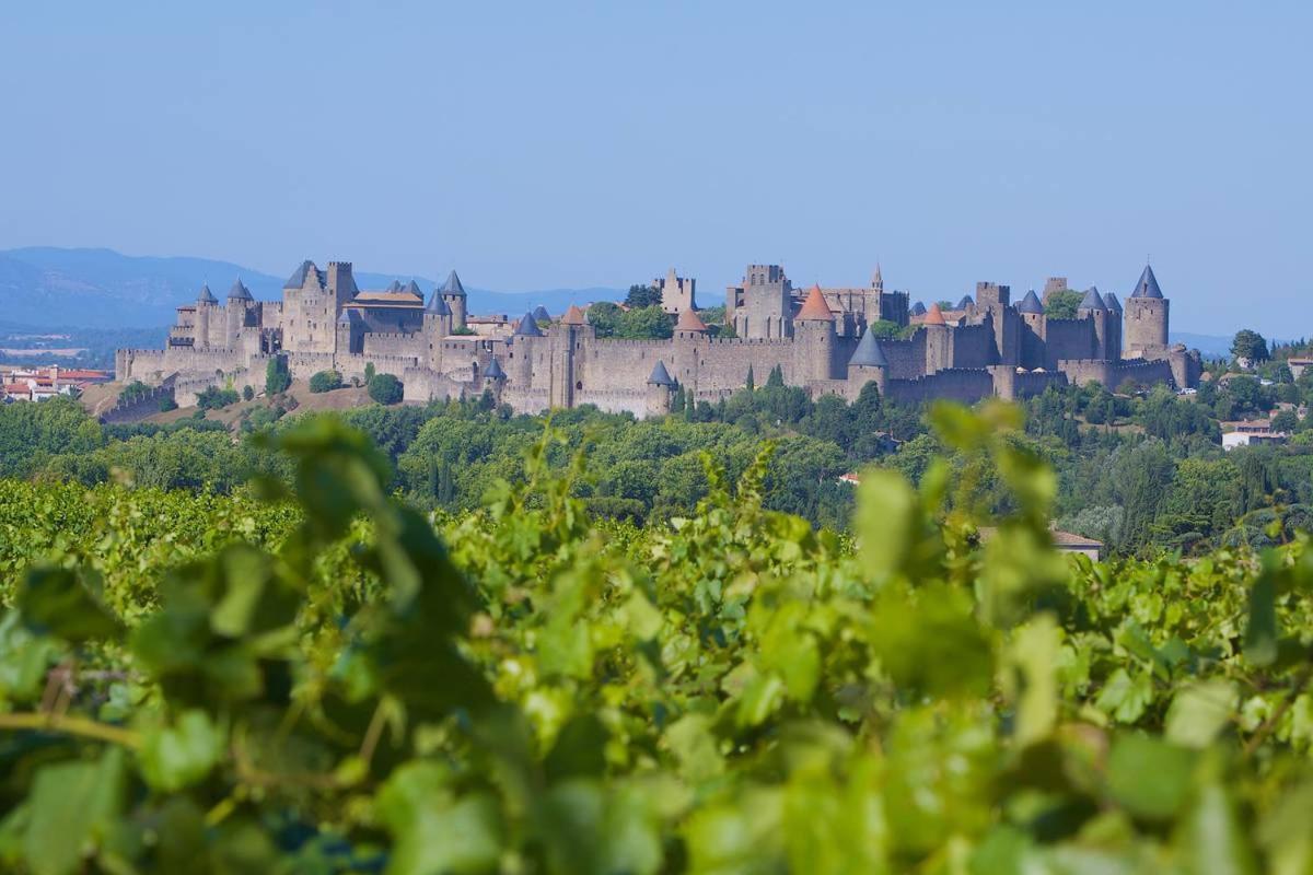 Tout Confort ! Climatisation, Calme, Piscine, Parking Gratuit, Terrasse, Wifi Lejlighed Carcassonne Eksteriør billede