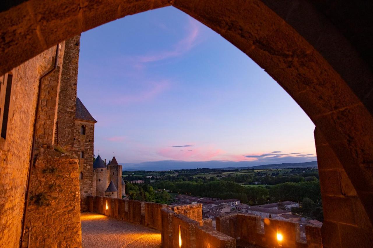 Tout Confort ! Climatisation, Calme, Piscine, Parking Gratuit, Terrasse, Wifi Carcassonne Eksteriør billede