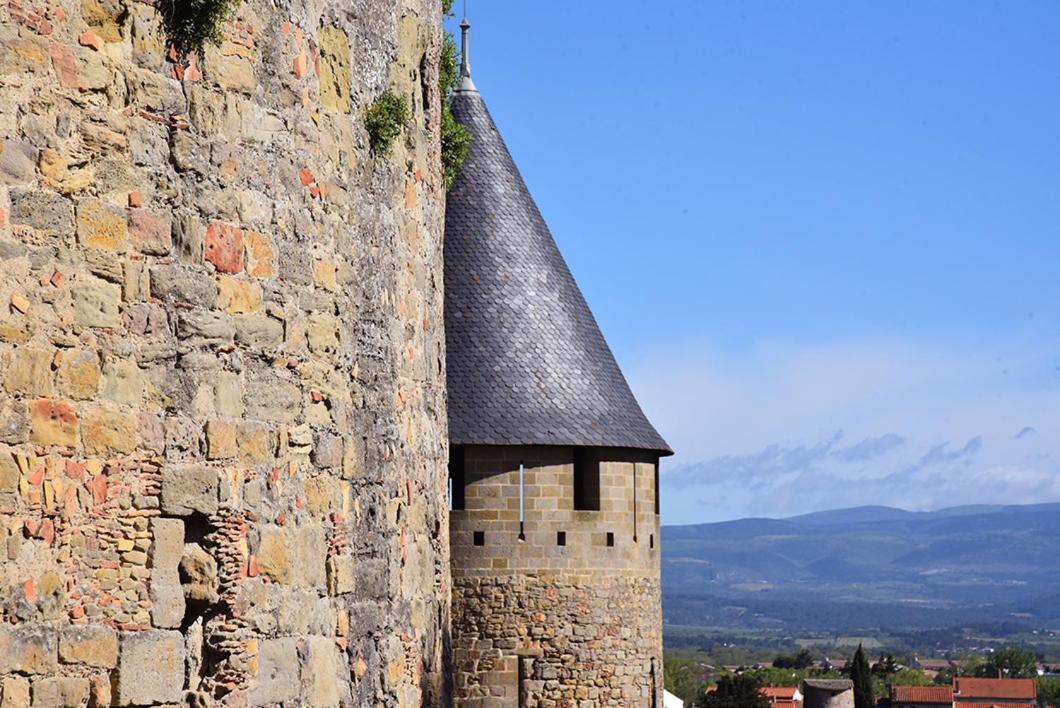 Tout Confort ! Climatisation, Calme, Piscine, Parking Gratuit, Terrasse, Wifi Lejlighed Carcassonne Eksteriør billede