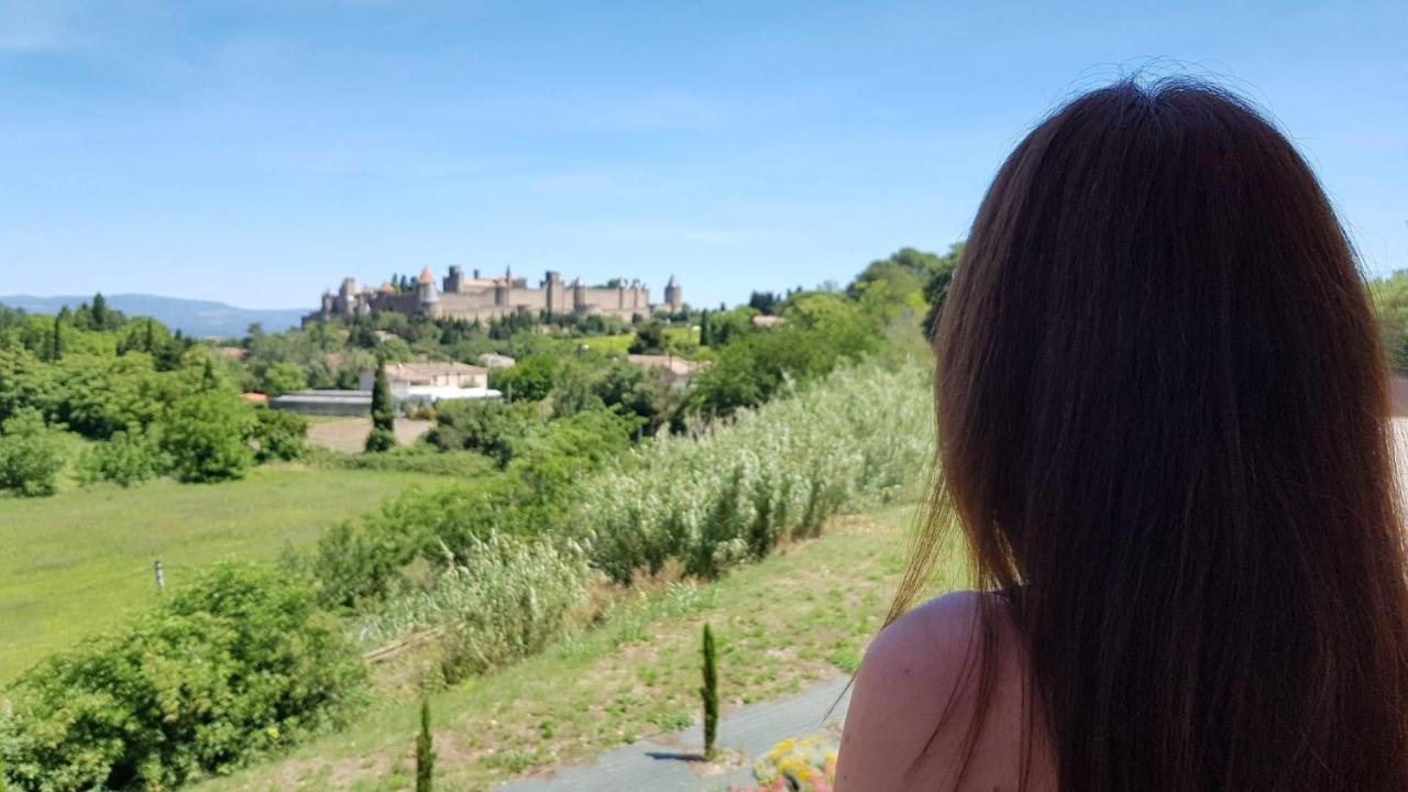 Tout Confort ! Climatisation, Calme, Piscine, Parking Gratuit, Terrasse, Wifi Carcassonne Eksteriør billede