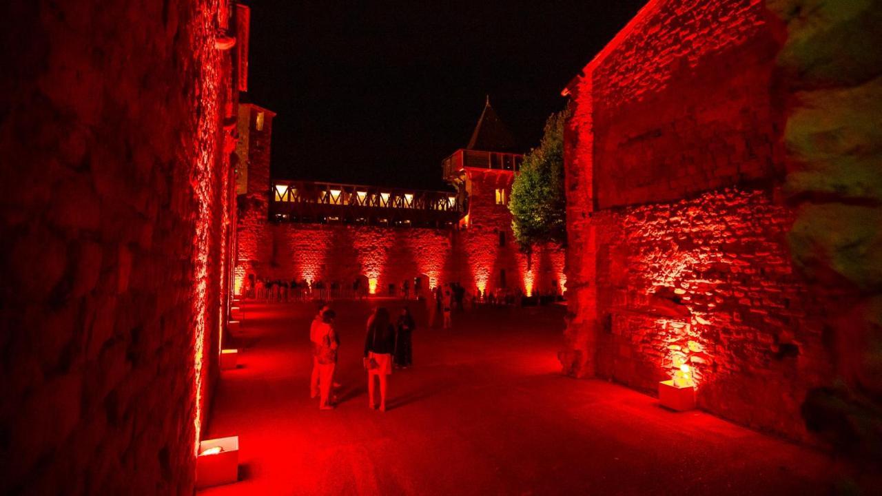 Tout Confort ! Climatisation, Calme, Piscine, Parking Gratuit, Terrasse, Wifi Carcassonne Eksteriør billede