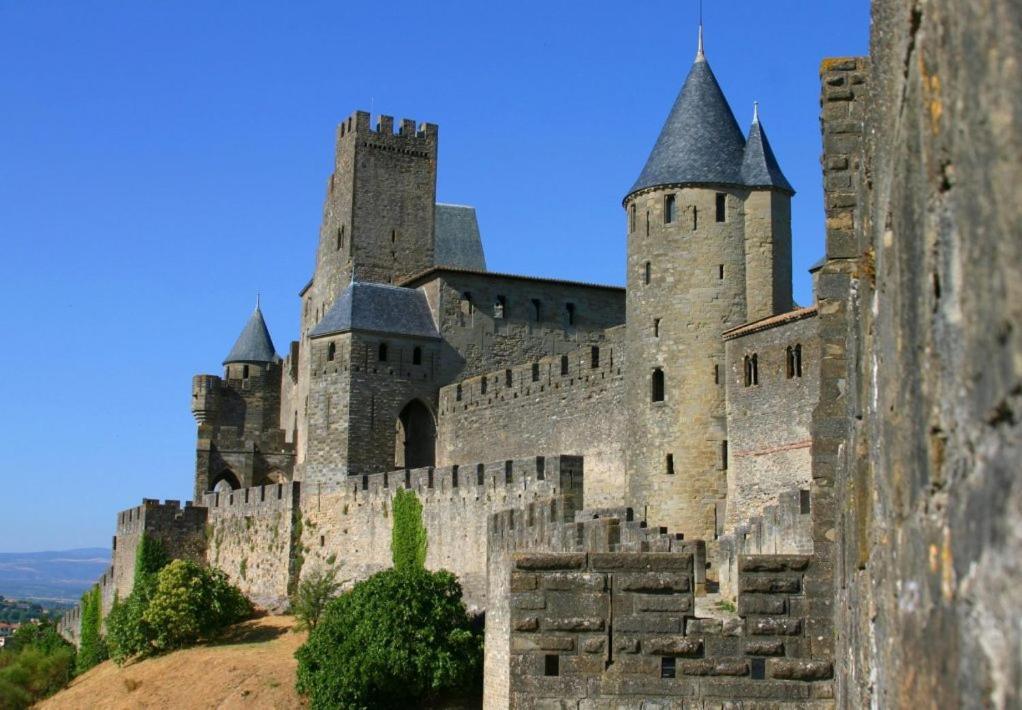 Tout Confort ! Climatisation, Calme, Piscine, Parking Gratuit, Terrasse, Wifi Carcassonne Eksteriør billede