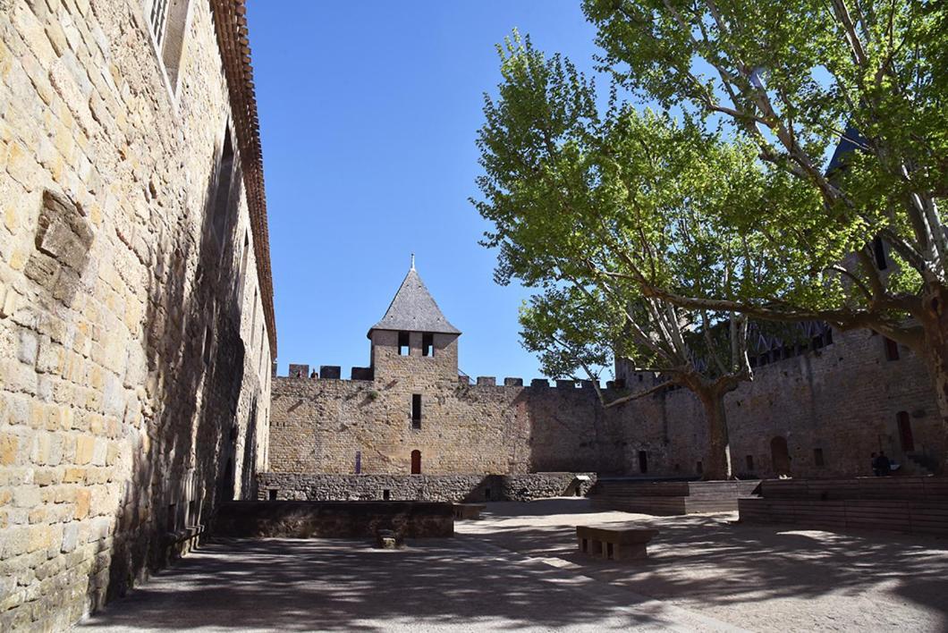 Tout Confort ! Climatisation, Calme, Piscine, Parking Gratuit, Terrasse, Wifi Lejlighed Carcassonne Eksteriør billede